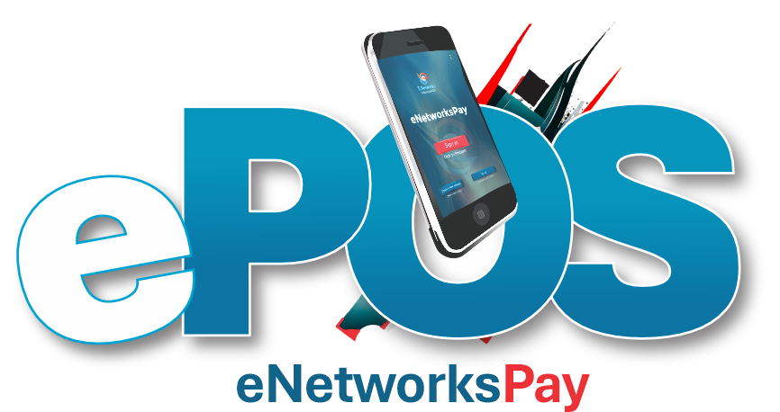 eNetworksPay Logo